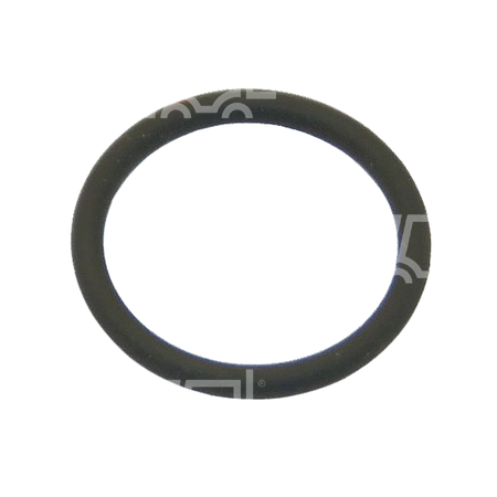O-ring