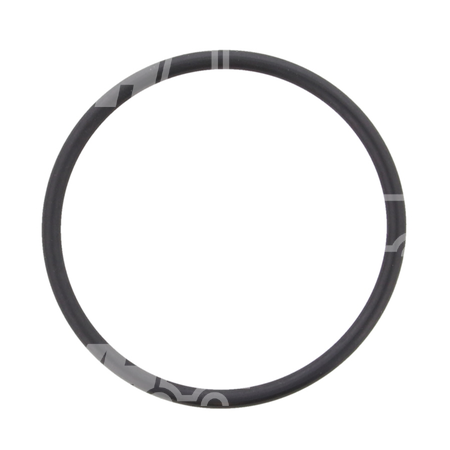 O-ring