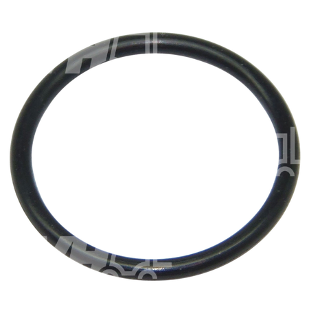 O-ring