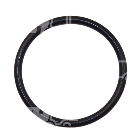O-ring
