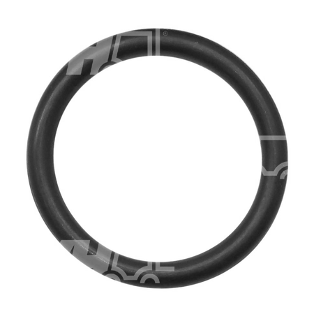 O-ring