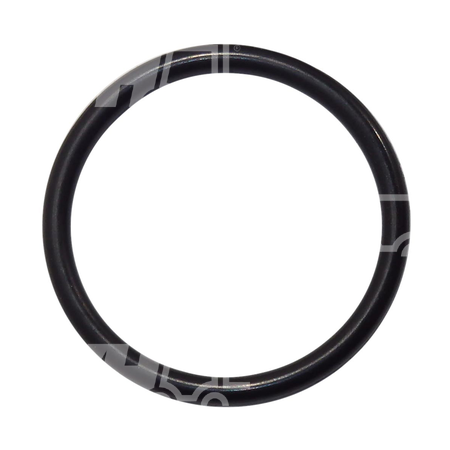 O-ring