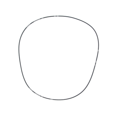 O-ring