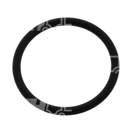 O-ring
