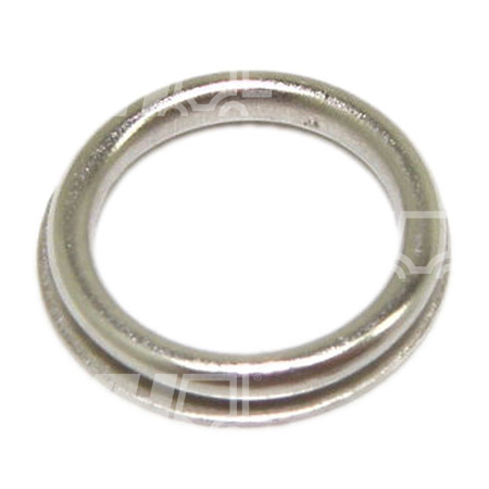 Dichtring