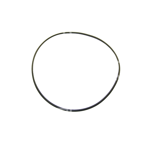 O-ring