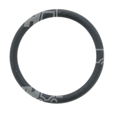 Produktbild von O-ring