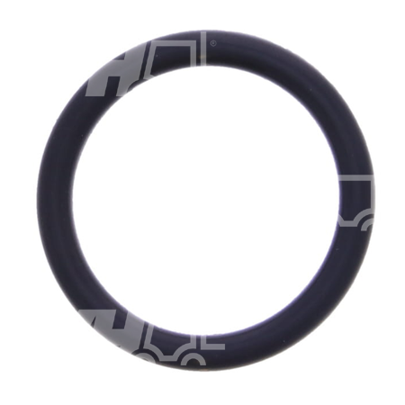O-ring