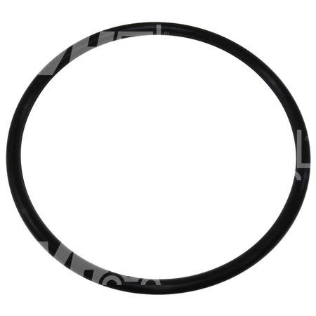 O-ring