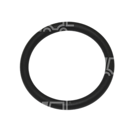 O-ring