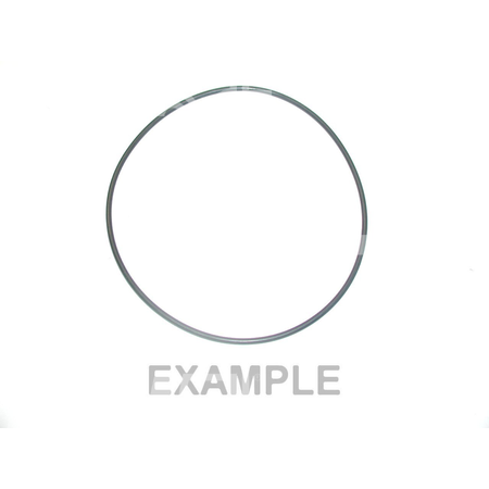 O-ring