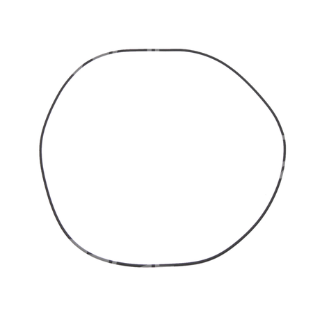 O-ring