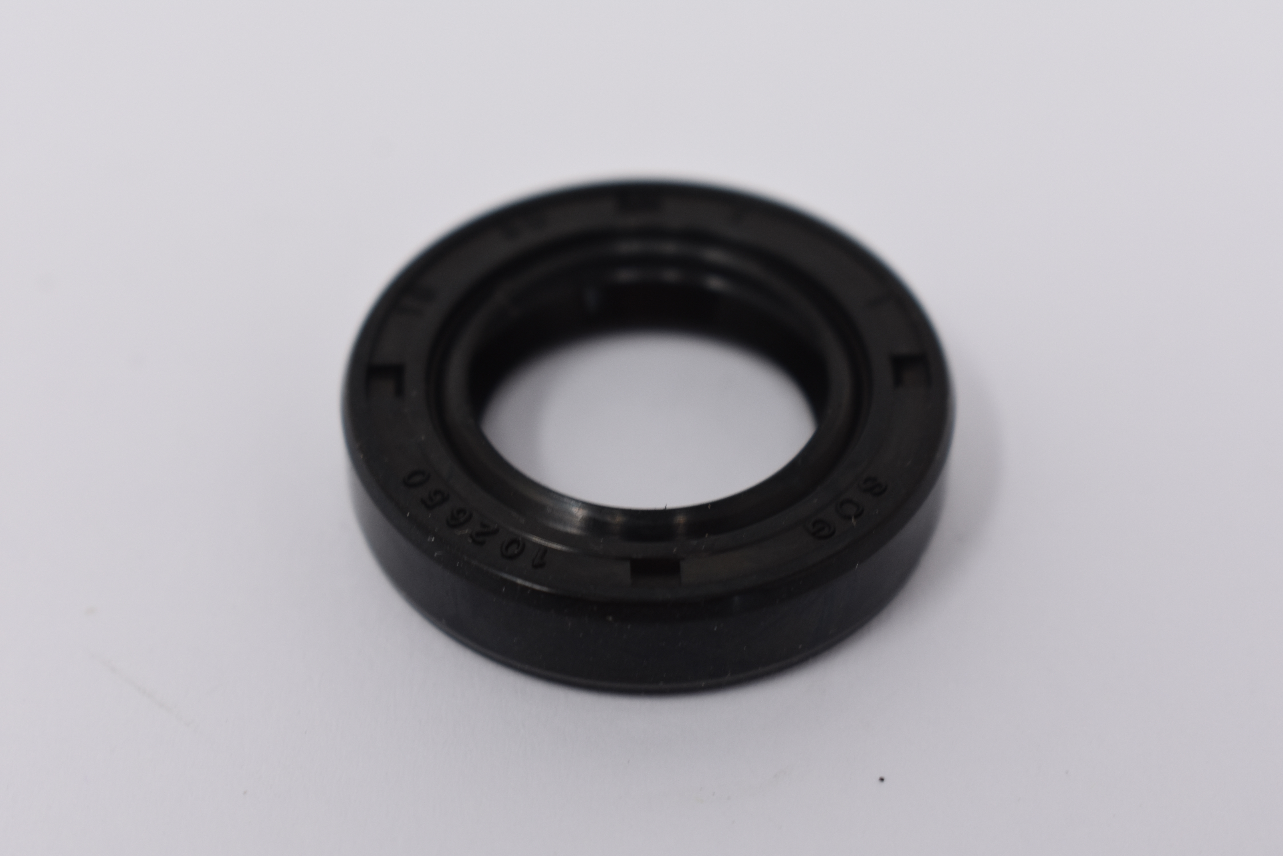 Dichtring