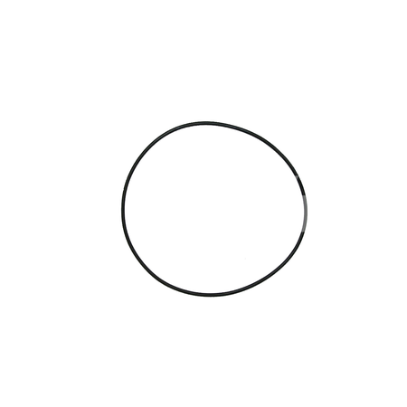 O-ring