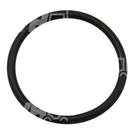 O-ring