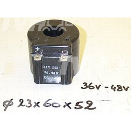 Elektromagnetwichlung