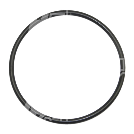 O-ring