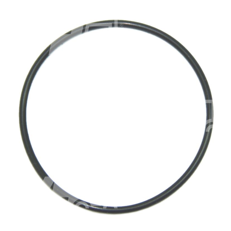O-ring