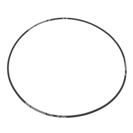 O-ring