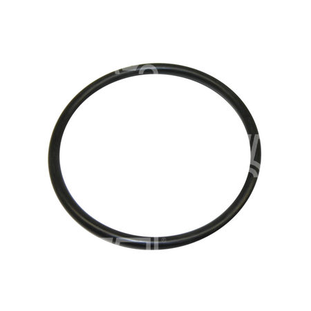 O-ring