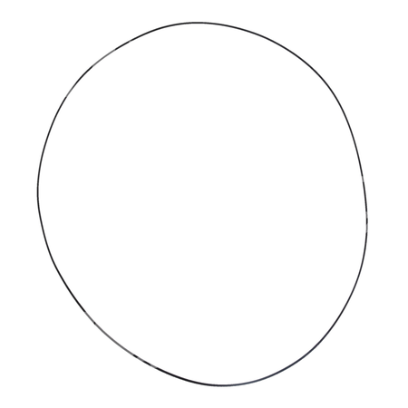 O-ring