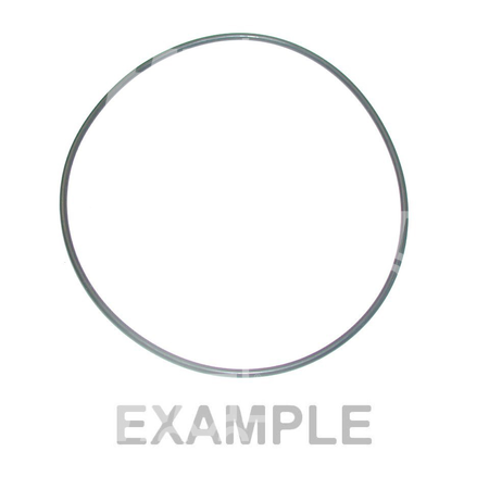 O-ring