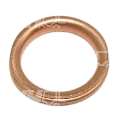 Dichtring